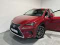 Lexus NX 300 300h Executive Navigation 4WD Rojo - thumbnail 3