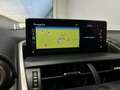 Lexus NX 300 300h Executive Navigation 4WD Rojo - thumbnail 25