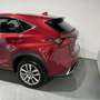 Lexus NX 300 300h Executive Navigation 4WD Rojo - thumbnail 7