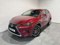 Lexus NX 300 300h Executive Navigation 4WD Rojo - thumbnail 1
