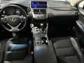 Lexus NX 300 300h Executive Navigation 4WD Rojo - thumbnail 13