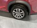 Lexus NX 300 300h Executive Navigation 4WD Rojo - thumbnail 12