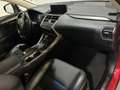 Lexus NX 300 300h Executive Navigation 4WD Rojo - thumbnail 31