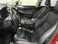 Lexus NX 300 300h Executive Navigation 4WD Rojo - thumbnail 14