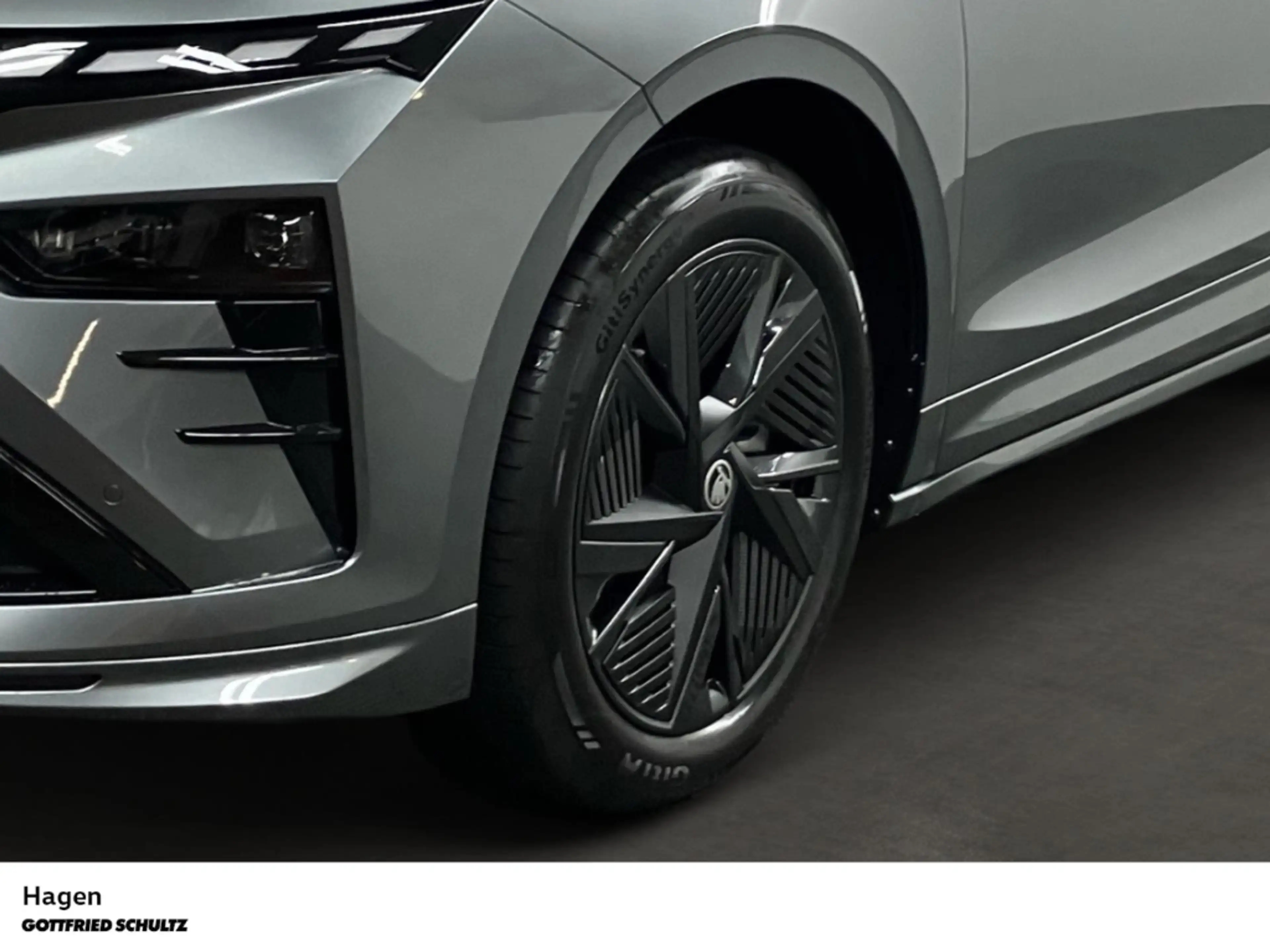 Skoda Enyaq RS 4x4 — photo 9
