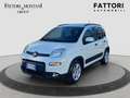 Fiat Panda Panda 1.0 firefly hybrid City Life s Weiß - thumbnail 2