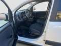 Fiat Panda Panda 1.0 firefly hybrid City Life s Weiß - thumbnail 12