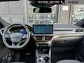 Ford Kuga 2.5 Full Hybrid 180 CV CVT 2WD ST-Line Schwarz - thumbnail 5