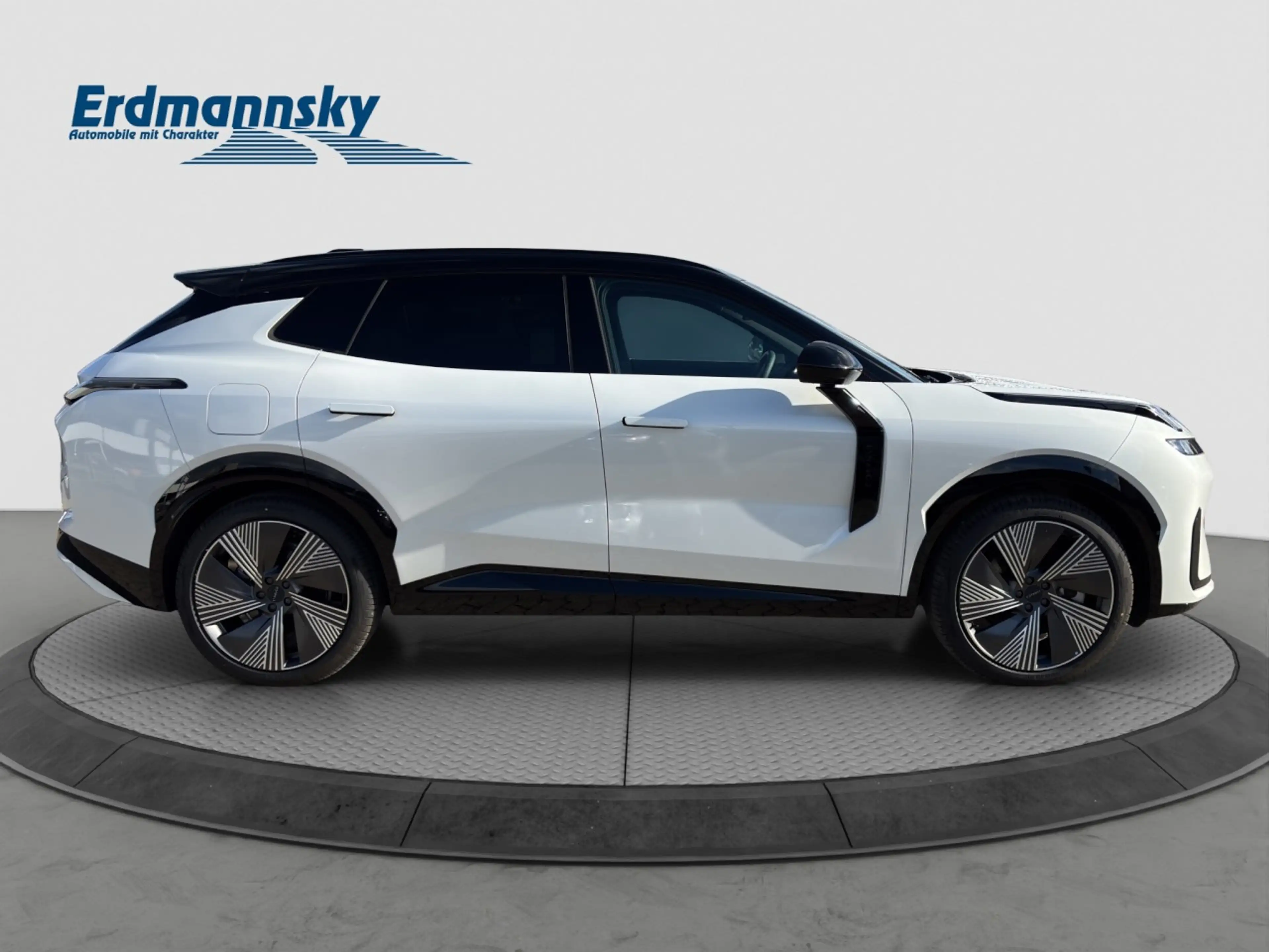 Lynk & Co 08 More Plug-In Hybrid / Pano / Matrix / 360Grad — photo 6