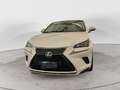 Lexus NX 300 NX Hybrid 4WD Luxury 3 ANNI DI GARANZIA KM ILLIMI Wit - thumbnail 2