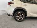Lexus NX 300 NX Hybrid 4WD Luxury 3 ANNI DI GARANZIA KM ILLIMI Wit - thumbnail 21