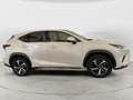 Lexus NX 300 NX Hybrid 4WD Luxury 3 ANNI DI GARANZIA KM ILLIMI Wit - thumbnail 6
