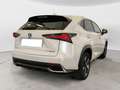 Lexus NX 300 NX Hybrid 4WD Luxury 3 ANNI DI GARANZIA KM ILLIMI Wit - thumbnail 4