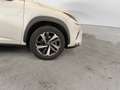 Lexus NX 300 NX Hybrid 4WD Luxury 3 ANNI DI GARANZIA KM ILLIMI Wit - thumbnail 19