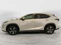 Lexus NX 300 NX Hybrid 4WD Luxury 3 ANNI DI GARANZIA KM ILLIMI Wit - thumbnail 5