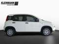 Fiat Panda "Pandina Urban" 1.0 GSE Hybrid (71 PS) Weiß - thumbnail 5