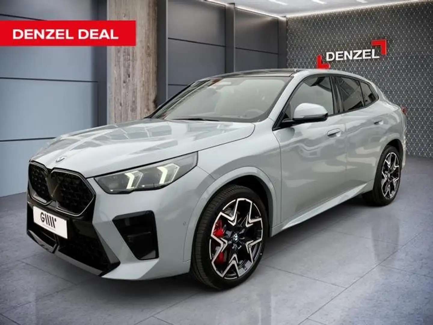 BMW X2 xDrive20d U10 B47 Grau - 1