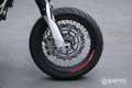 SWM SM 500 R R Abs my21 Bianco - thumbnail 10