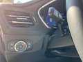 Ford Focus Active 1.0t ecoboost h X 155cv powershift Nero - thumbnail 13