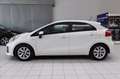 Kia Rio 5p 1.2 Cool eco Gpl Blanco - thumbnail 3