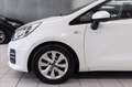 Kia Rio 5p 1.2 Cool eco Gpl Blanco - thumbnail 7