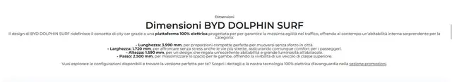 Byd Dolphin Surf view 11