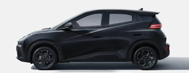 Byd Dolphin Surf view 4