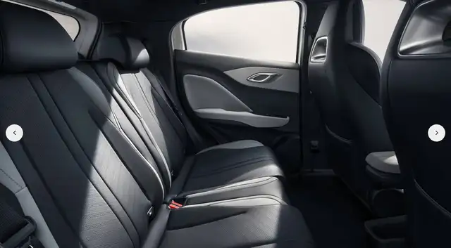 Byd Dolphin Surf view 8