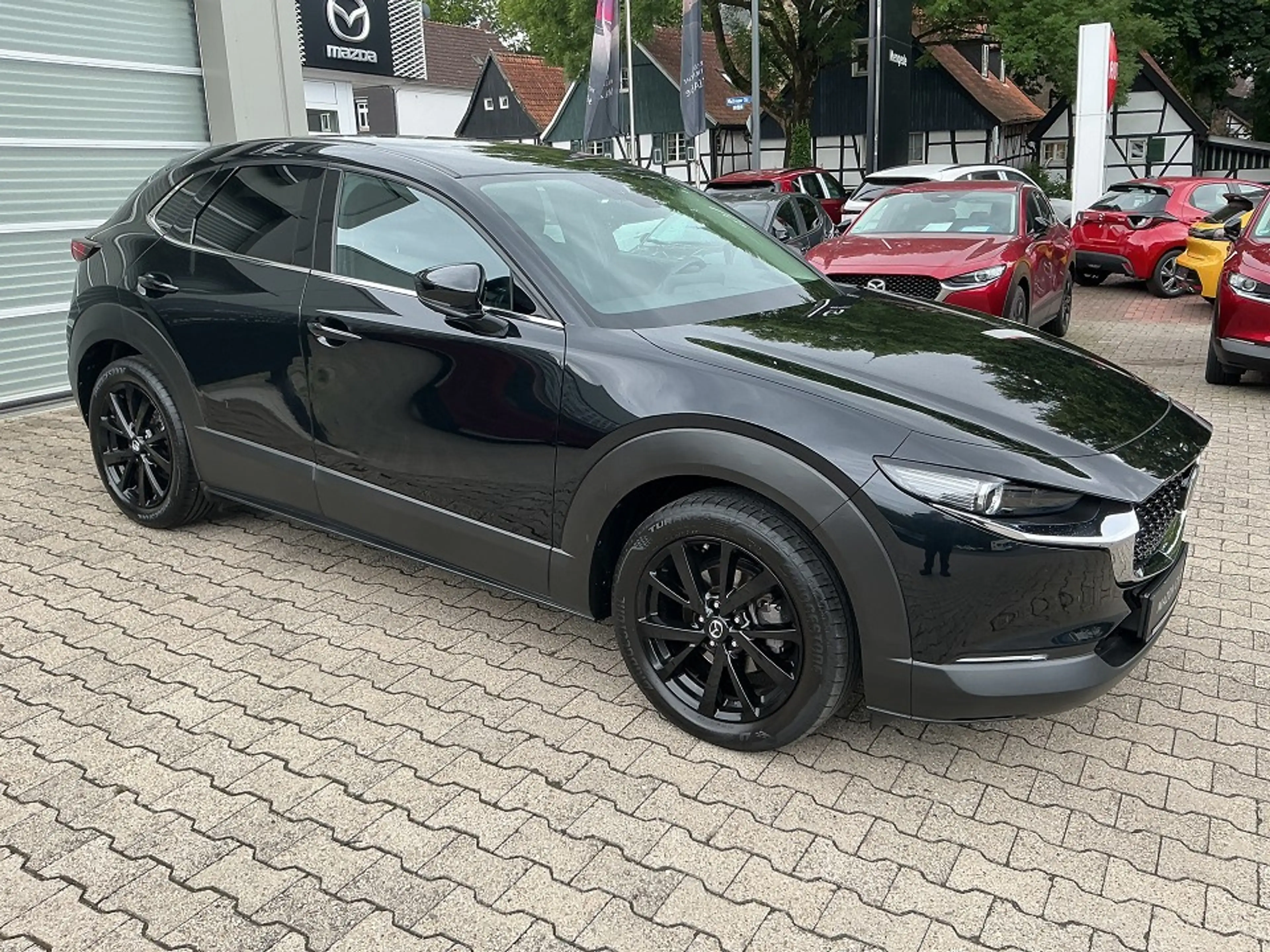Mazda CX-30 SKY-X 2.0 M 137 kW (186 PS) Selection Matrix Bose