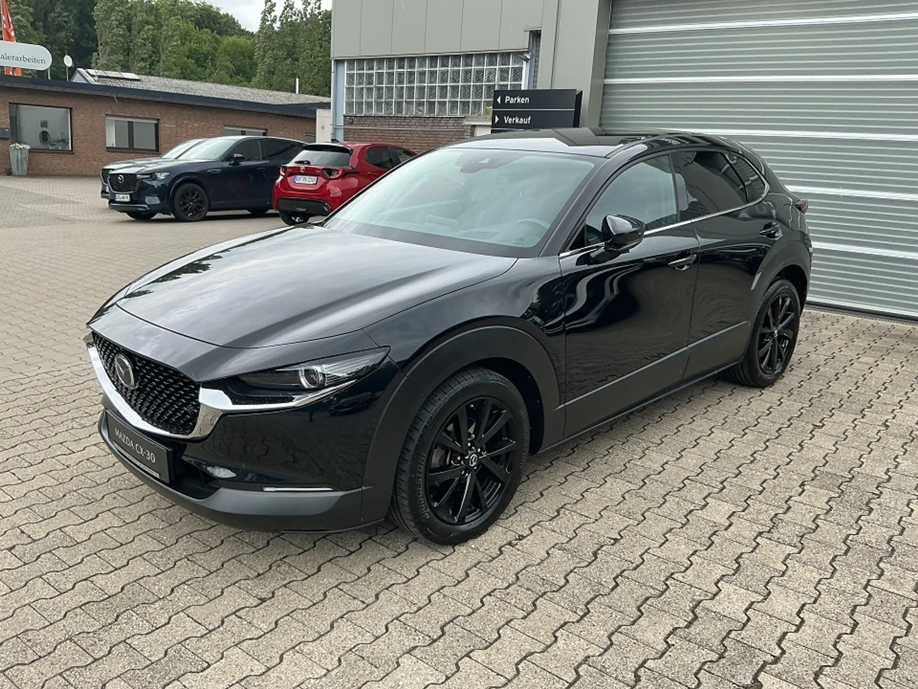 Mazda CX-30 SKY-X 2.0 M 137 kW (186 PS) Selection Matrix Bose — photo 3