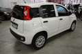 Fiat Panda 1.2 GPL Pop Van 2 posti + IVA 22% Bianco - thumbnail 5