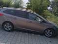 Ford Focus Focus 1.0 EcoBoost Start-Stopp-System SYNC Edition Braun - thumbnail 4
