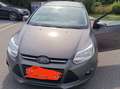 Ford Focus Focus 1.0 EcoBoost Start-Stopp-System SYNC Edition Braun - thumbnail 1