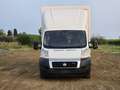 Fiat Ducato 3000 Centinato Bianco - thumbnail 4