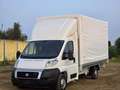 Fiat Ducato 3000 Centinato Bianco - thumbnail 3
