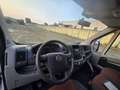 Fiat Ducato 3000 Centinato Bianco - thumbnail 11