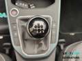 SEAT Arona 1.0 tgi Xperience 90cv Grigio - thumbnail 12