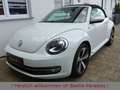 Volkswagen Beetle 1.2TSI  Allstar Plus Leder Kamera Xenon Bianco - thumbnail 7