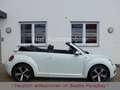 Volkswagen Beetle 1.2TSI  Allstar Plus Leder Kamera Xenon Bianco - thumbnail 3