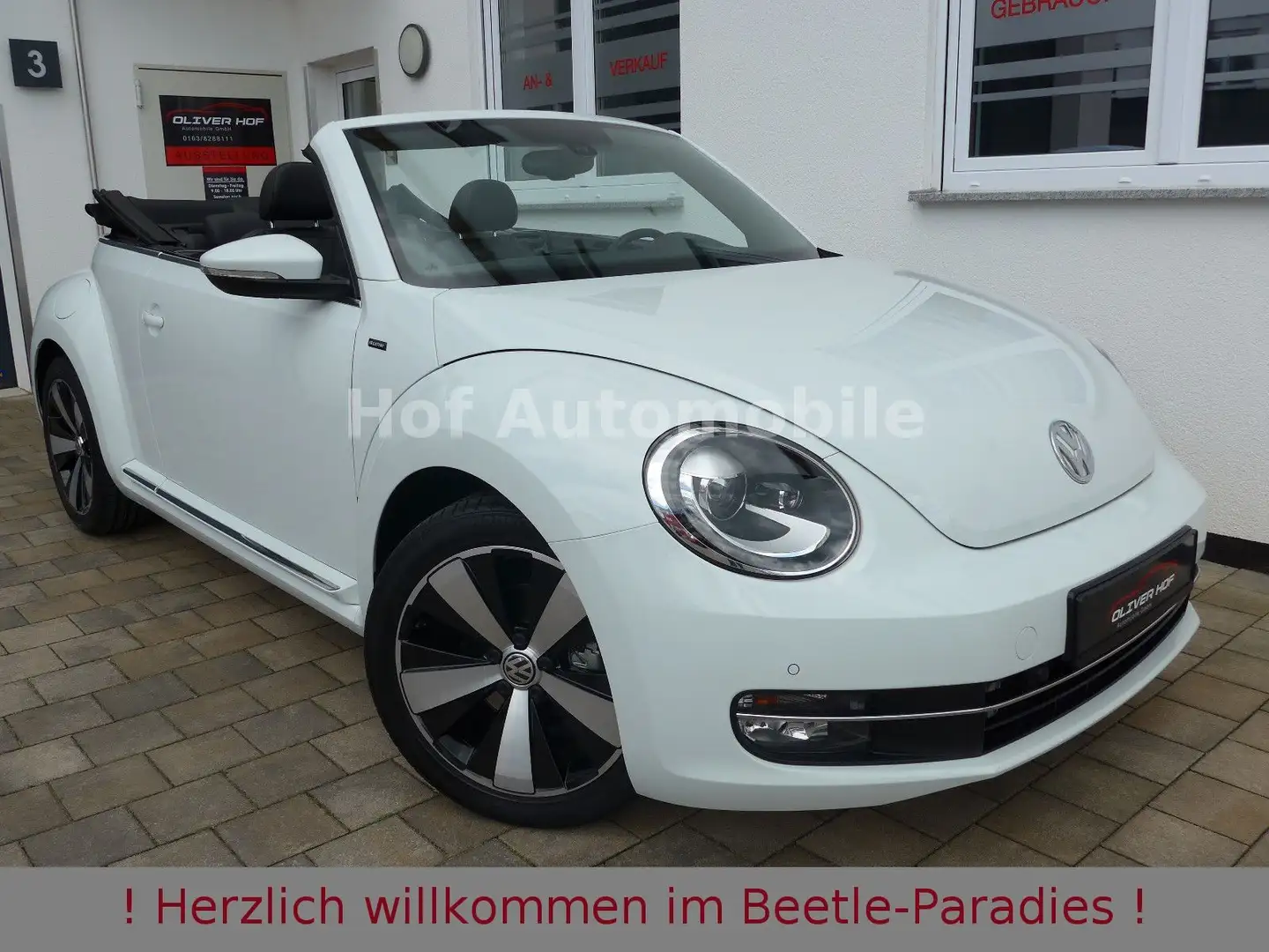 Volkswagen Beetle 1.2TSI  Allstar Plus Leder Kamera Xenon Bianco - 1