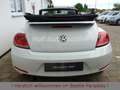 Volkswagen Beetle 1.2TSI  Allstar Plus Leder Kamera Xenon Blanc - thumbnail 17