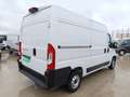 Fiat Ducato Fg. 33 2.2Mjt L2 H2 Panelado 120CV Blanc - thumbnail 5