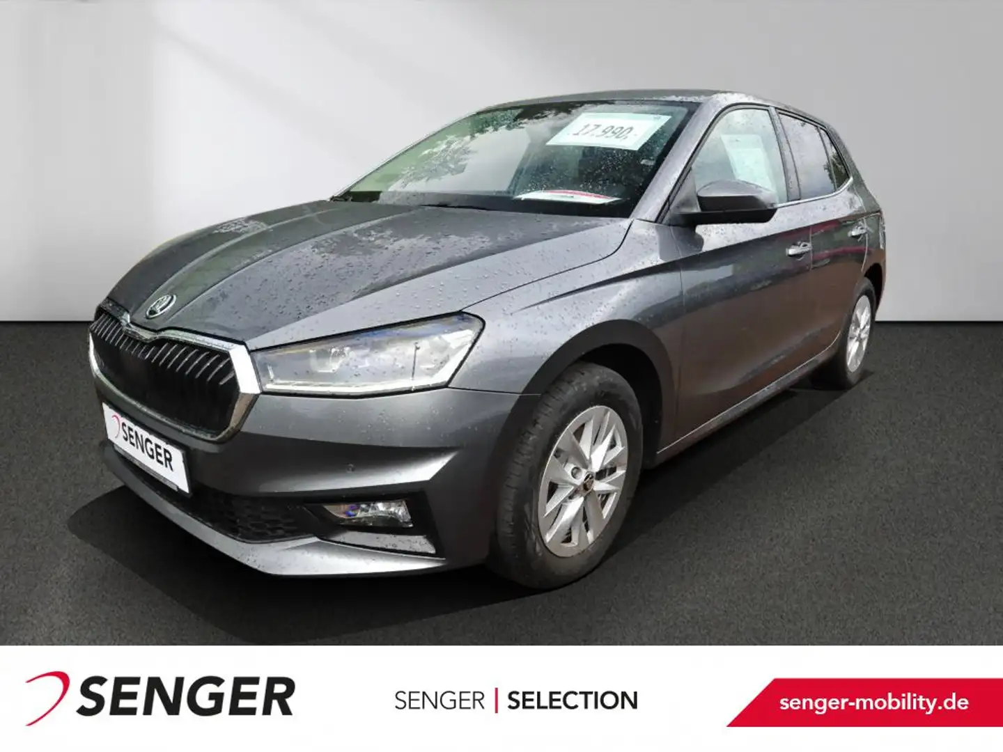 Skoda Fabia 1.0 TSI Style DSG Navi LED ACC PDC SHZ Grau - 1
