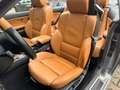BMW 330 Ci Cabrio Individual M-Paket Grau - thumbnail 19