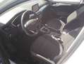 Ford Focus 1.0 Ecoboost MHEV Trend+ 125 Blanco - thumbnail 7