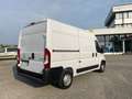 Peugeot Boxer L2H2  MOTORE NUOVO CON FATTURA Bianco - thumbnail 9