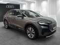 Audi e-tron RFK ACC EINPARKH SITZH Grau - thumbnail 24