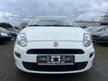 Fiat Punto Klima+ZV Funk+ NUR 76.600km bijela - thumbnail 5