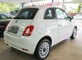 Fiat 500 1.0 Lounge Navi CarPlay PDC 1.Hand Weiß - thumbnail 7