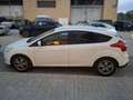 Ford Focus 1.0 Ecoboost Auto-S&S Trend Blanco - thumbnail 1